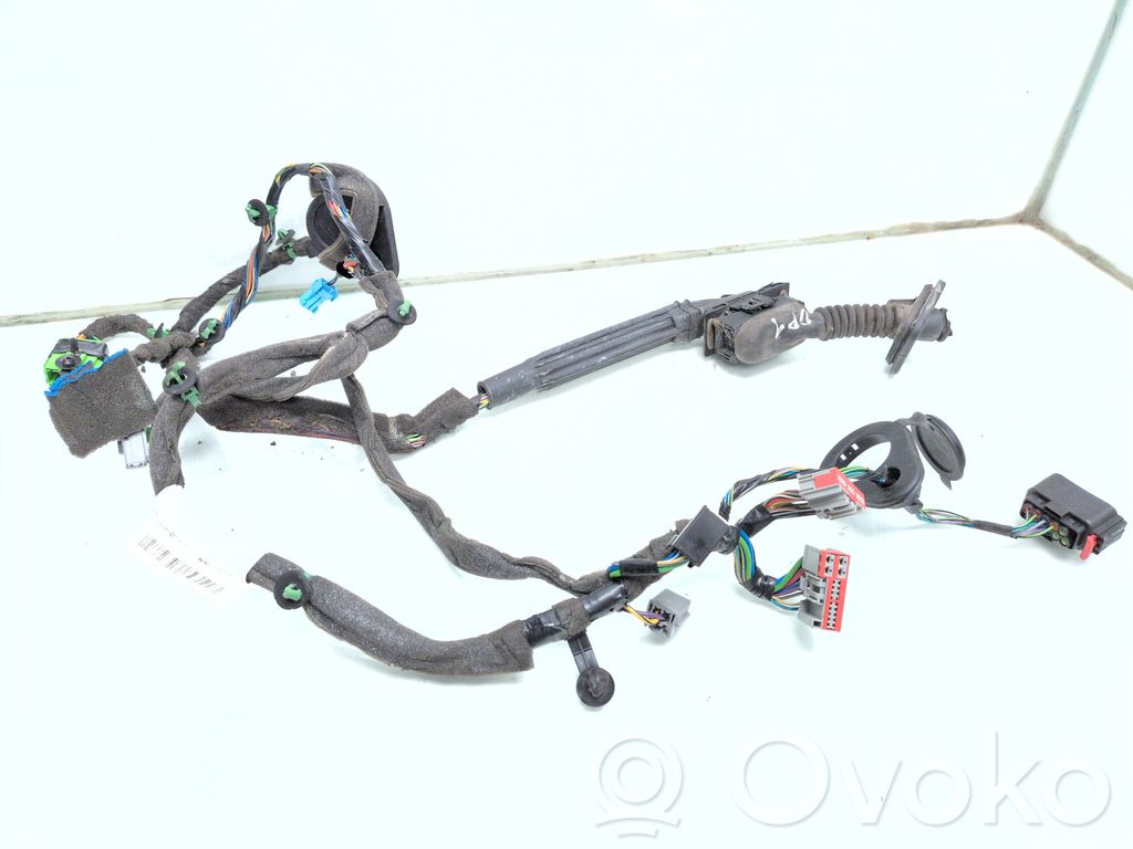 Volvo S80 Cableado de puerta delantera 