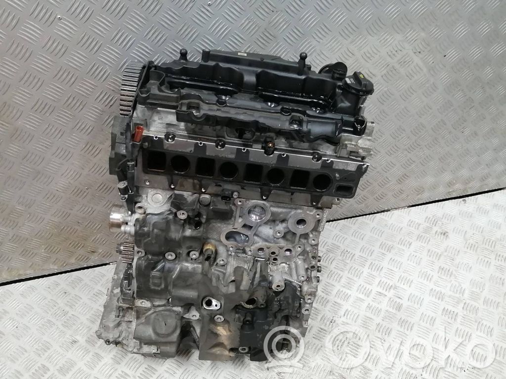 Motor   DFB
