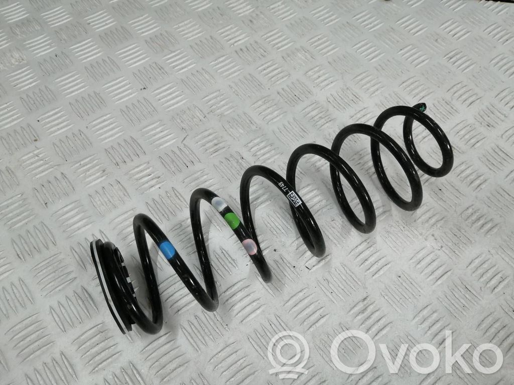 Rear coil spring