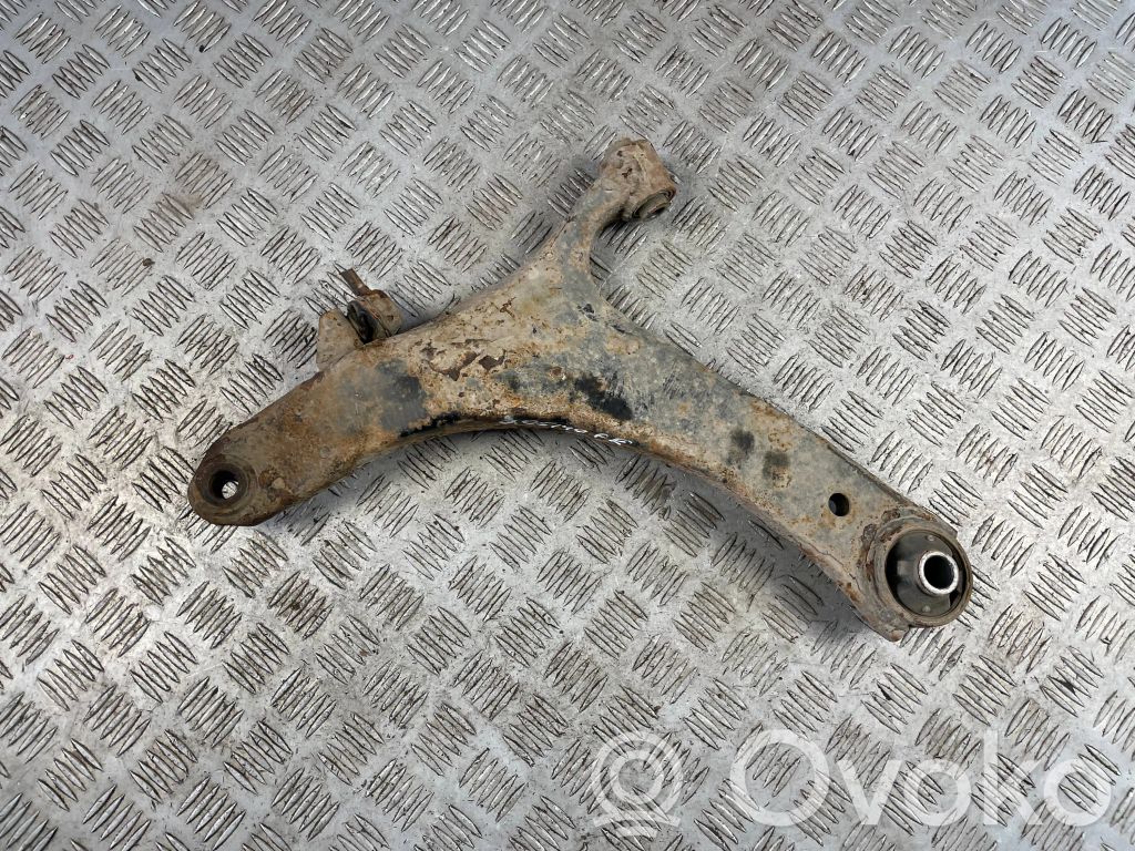 Front lower control arm/wishbone