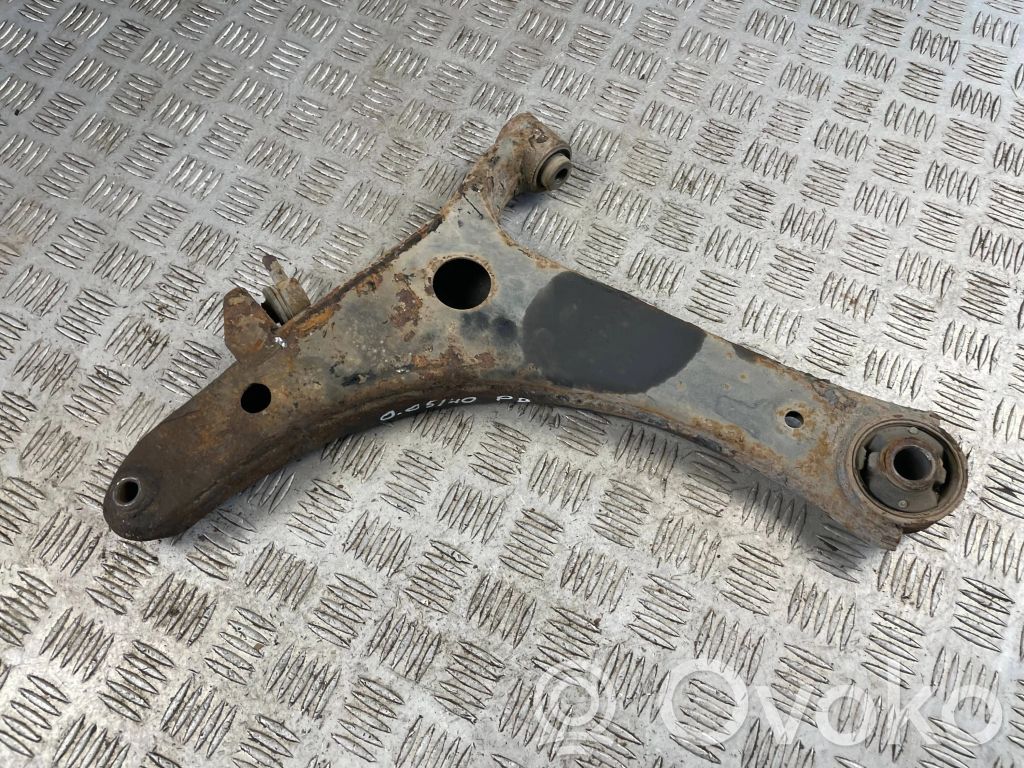 Front lower control arm/wishbone