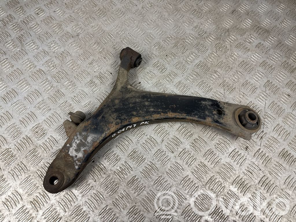 Front lower control arm/wishbone