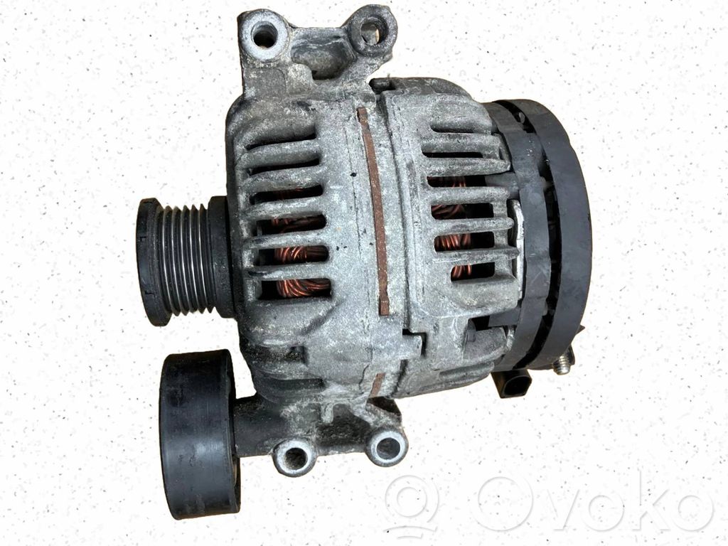 Generator/alternator   7521488,7521383,0124325087