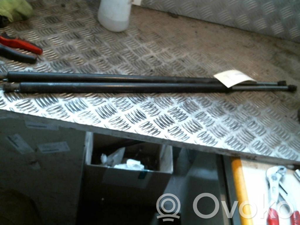 Citroen Jumpy Tailgate/trunk strut/damper 