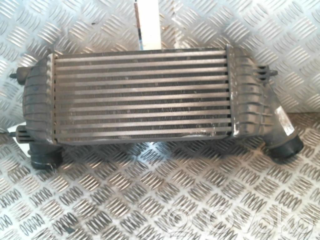 Citroen Jumpy Interkūlerio radiatorius 