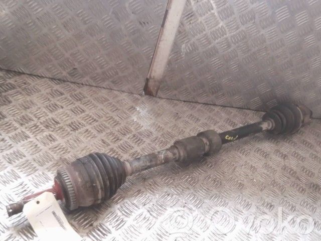 Priekinis pusašis   495001H210