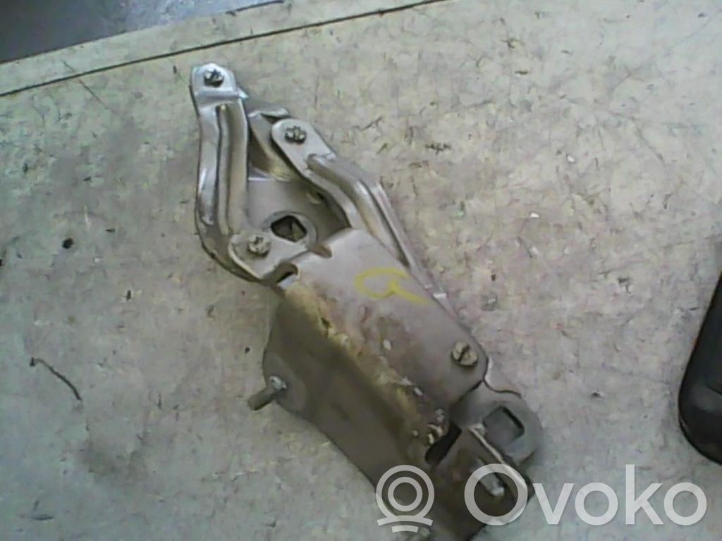Renault Scenic II -  Grand scenic II Konepellin saranat 