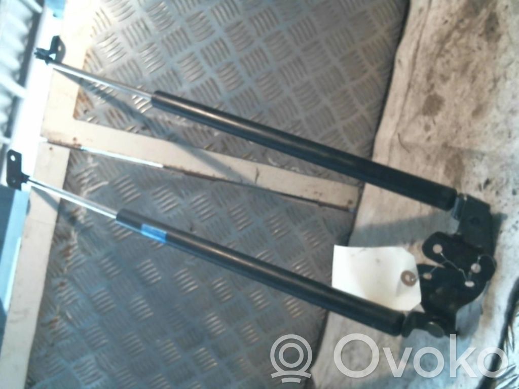 Suzuki Wagon R+ Tailgate/trunk strut/damper 