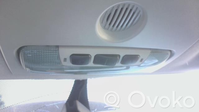 Ford Focus Front seat light 