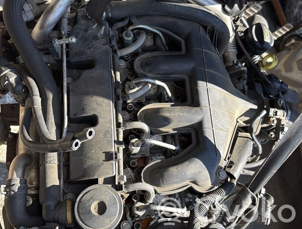 Citroen C5 Motor 
