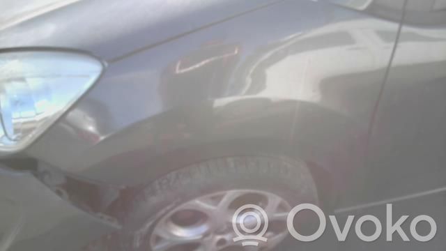 Citroen C3 Sparnas 
