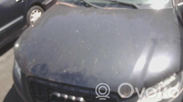 Audi A3 S3 8P Konepelti 