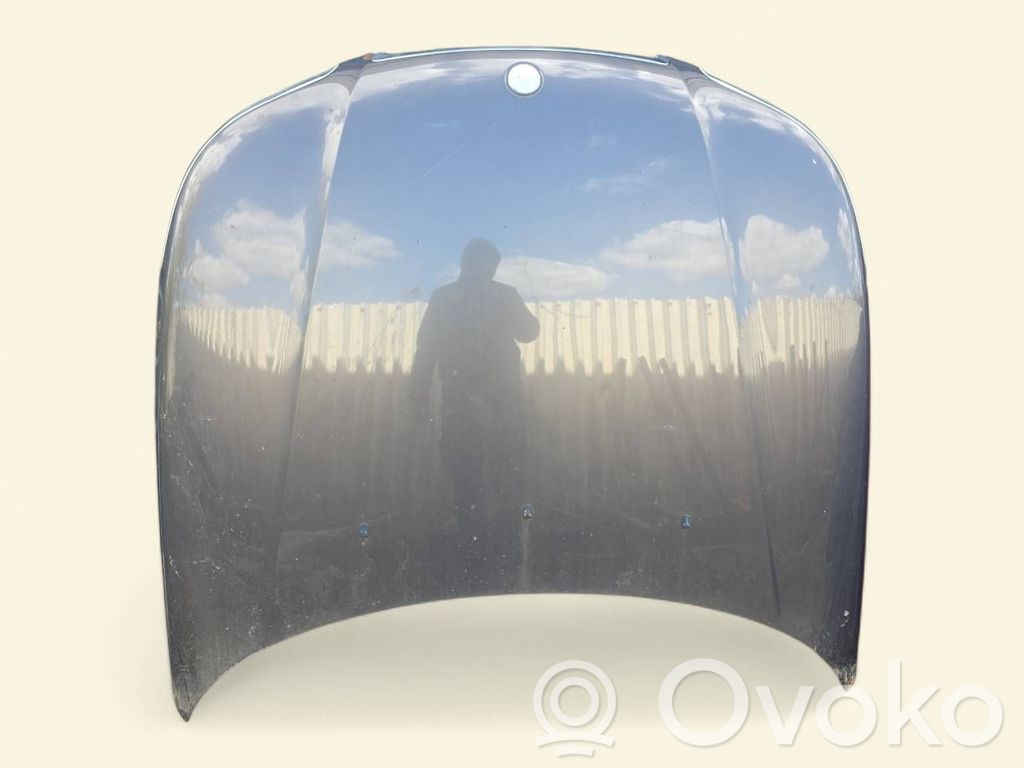 Engine bonnet/hood