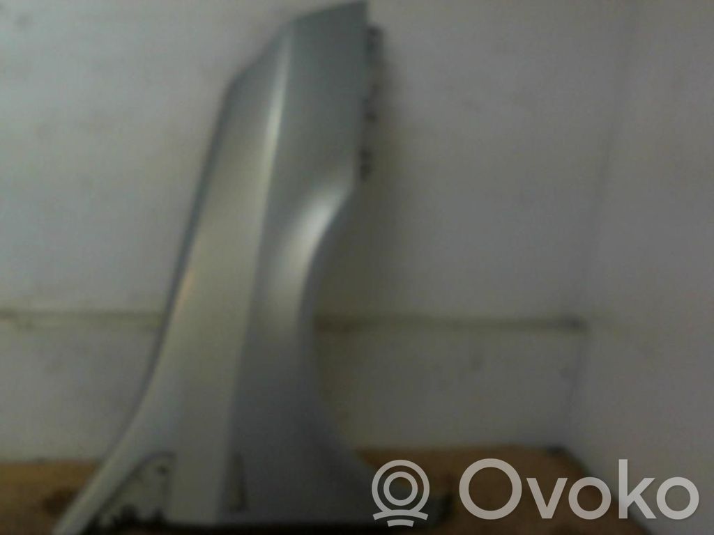 Renault Vel Satis Sparnas 