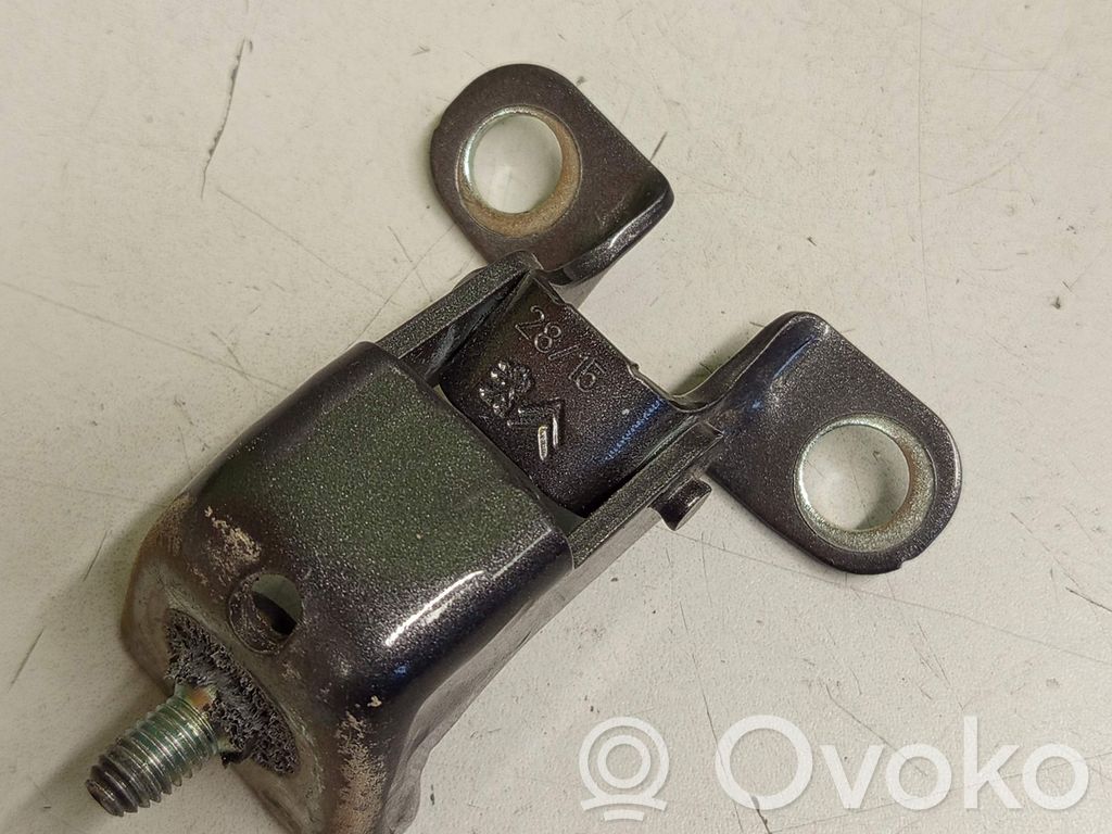 Tailgate/trunk/boot hinge   573420,841098