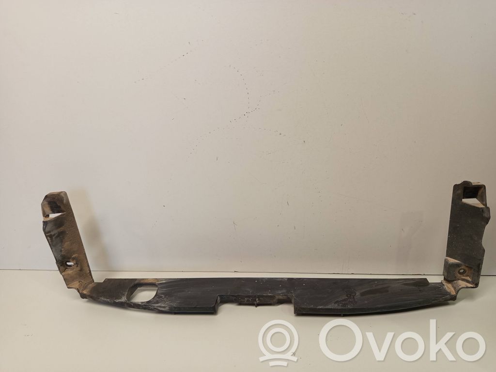 Renault Trafic II (X83) Radiator mount bracket 