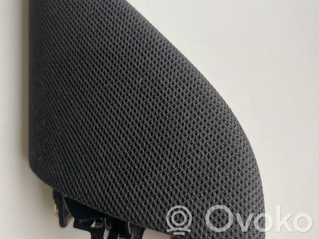 Front door high frequency speaker   109565700F,109565700E,1095657,109565700D,1784661,178466100A