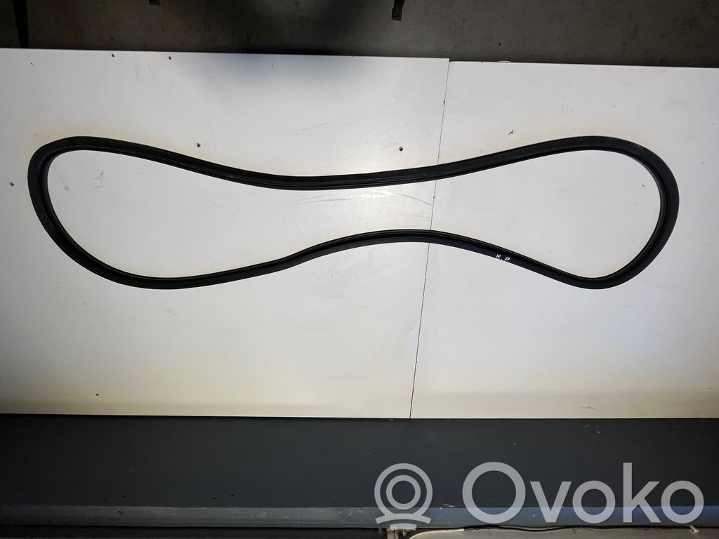 Volkswagen Caddy Front door rubber seal 