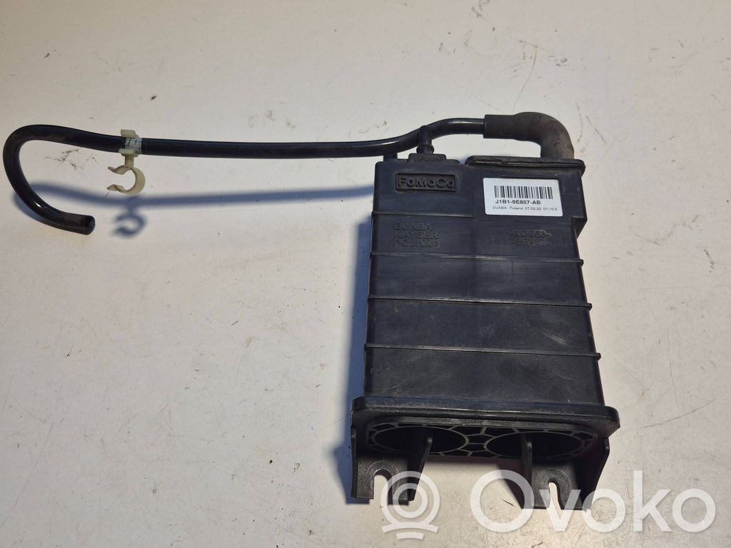 Ford Fiesta Aktīvā oglekļa (degvielas tvaiku) filtrs 