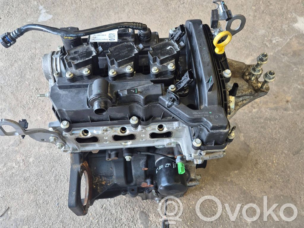 Ford Fiesta Motor 