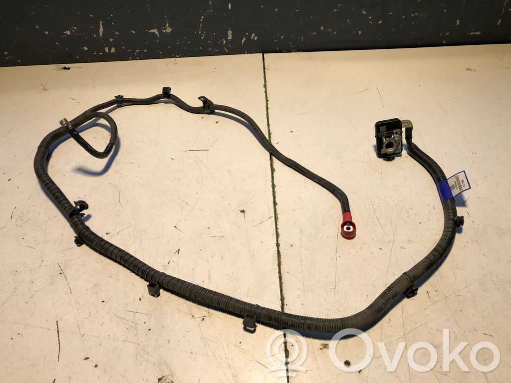 Dacia Spring Pluskaapeli (akku) 