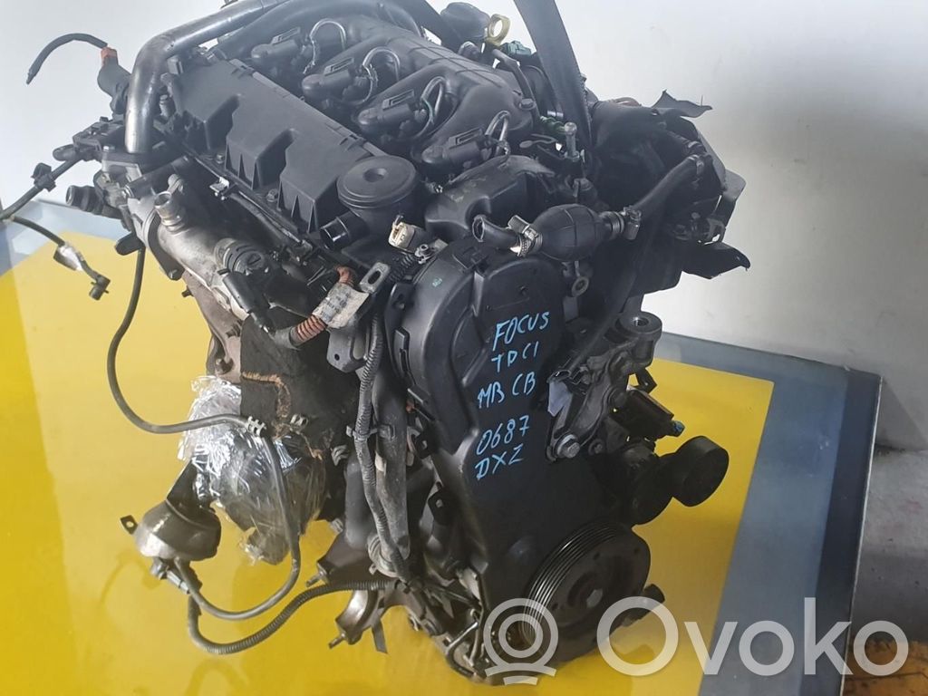 Ford Focus Engine 