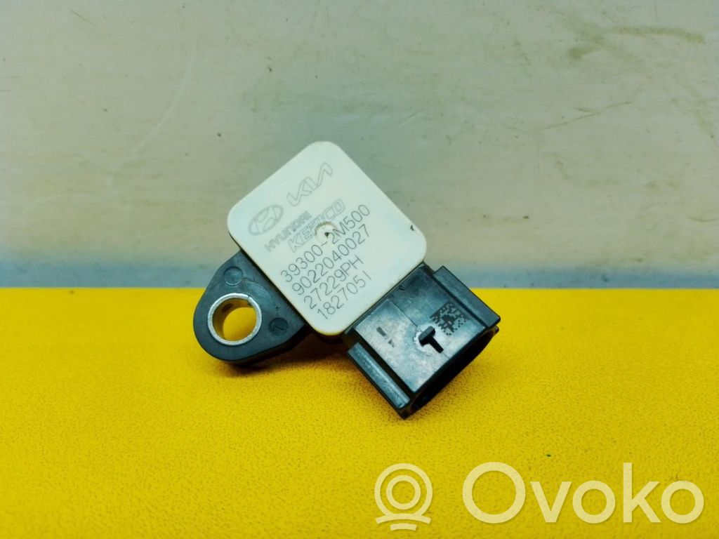 Sensor   393002M500
