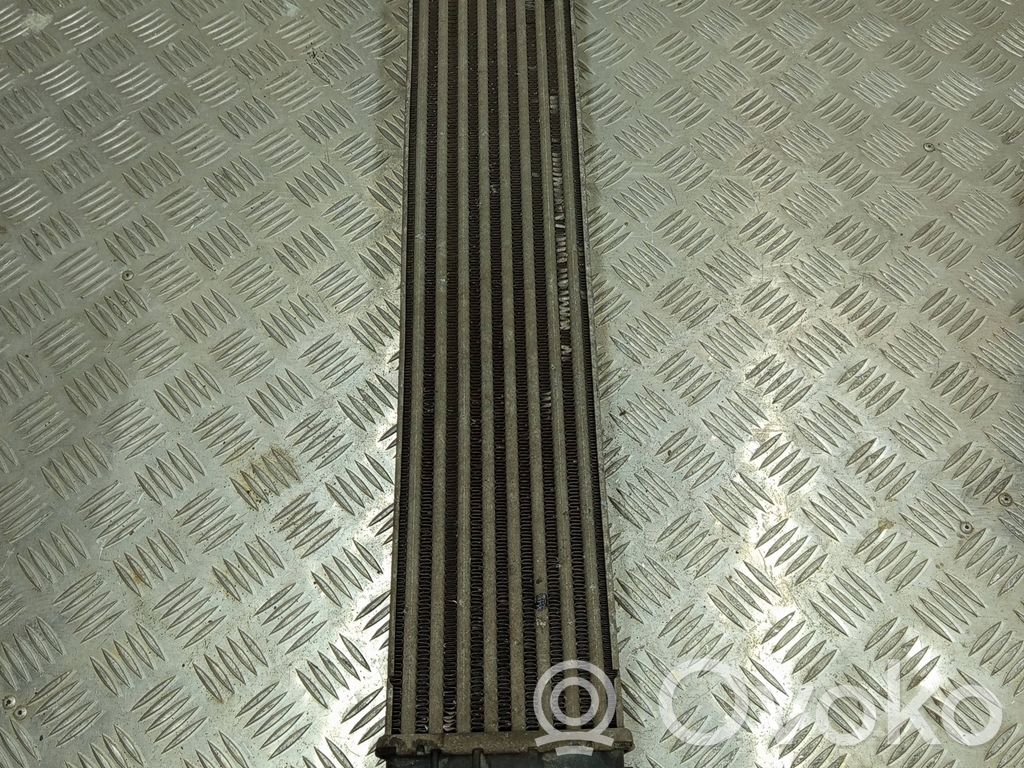 Chłodnica powietrza doładowującego / Intercooler   1362079J51,3126166