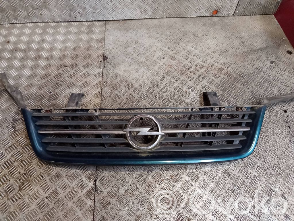 Atrapa chłodnicy / Grill   10406918,4145,77333
