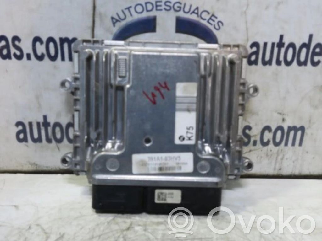 Engine control unit/module ECU   A2C1984480101