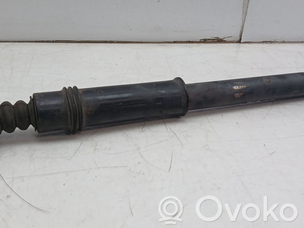 Citroen C4 II Amortizor spate 