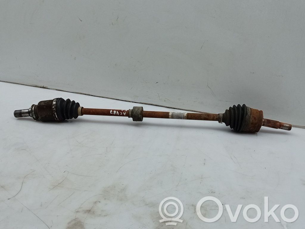 Semiasse anteriore   PMR980748