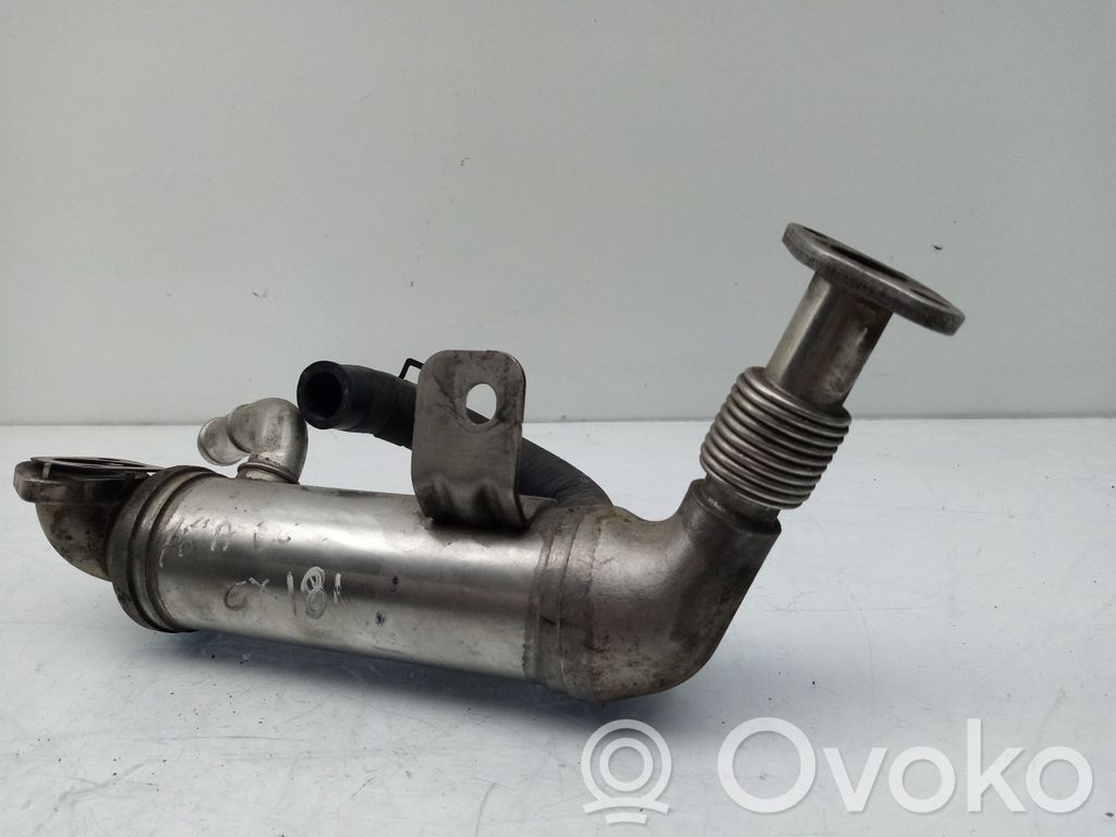 EGR valve cooler   284202A400