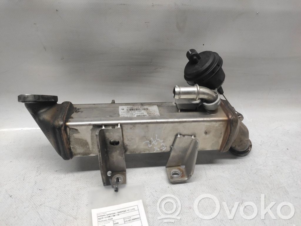 Nissan Qashqai+2 Valvola di raffreddamento EGR