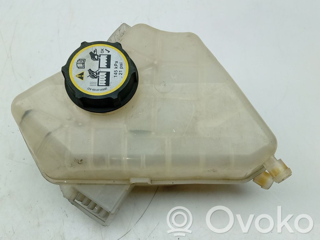 Ford Fiesta Serbatoio di compensazione del liquido refrigerante/vaschetta