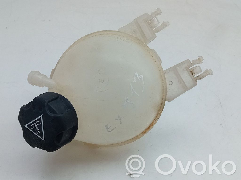 Citroen C3 Serbatoio di compensazione del liquido refrigerante/vaschetta
