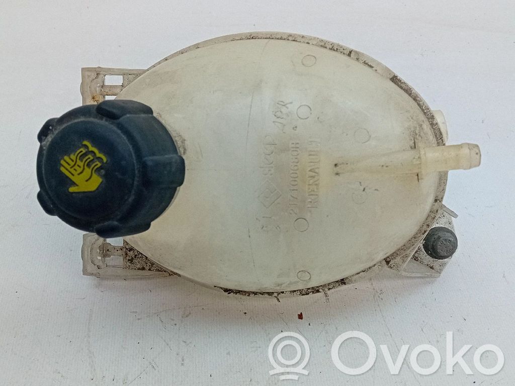 Depósito del refrigerante   217100680R