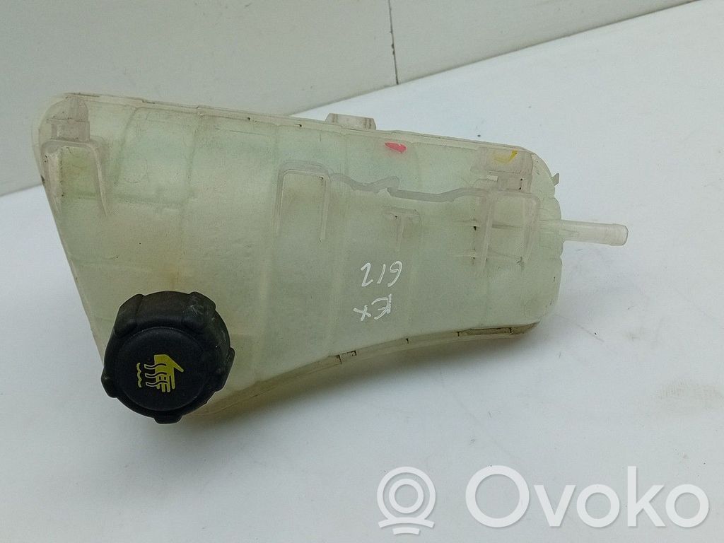 Renault Kangoo II Zbiornik wyrównawczy chłodziwa 