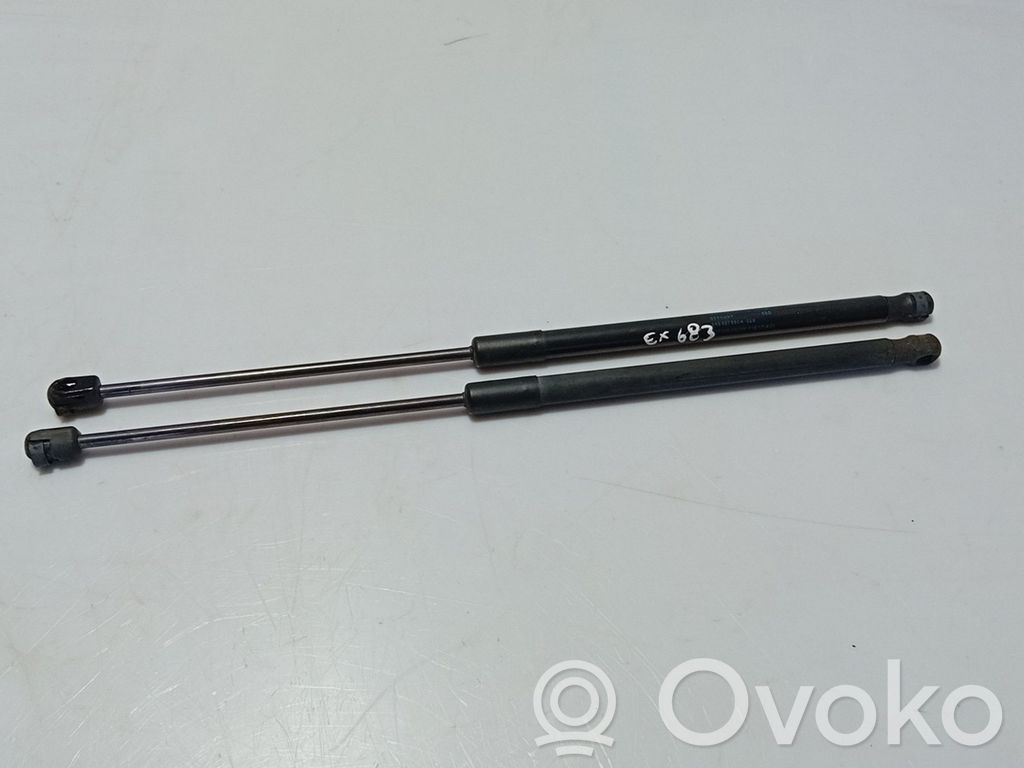 Volkswagen Polo V 6R Ammortizzatore portellone anteriore/cofano