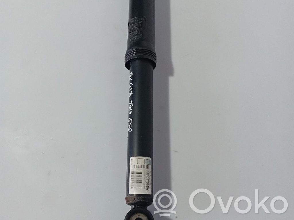 Citroen C3 Amortizor spate 