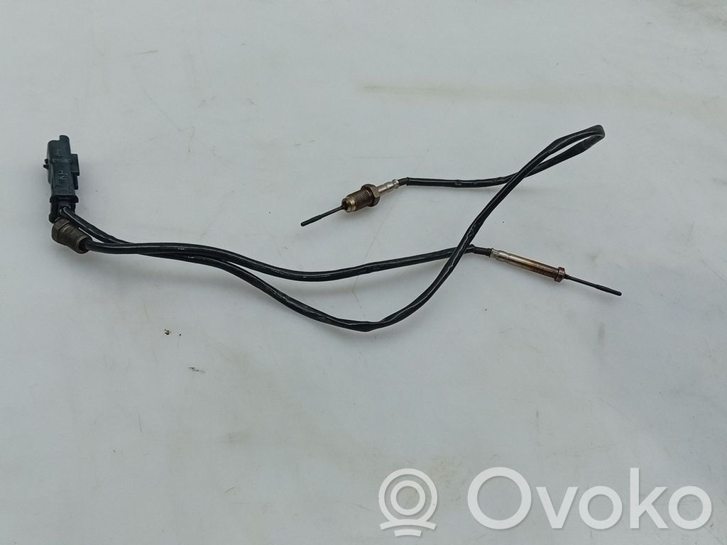 Sonda lambda   9812376480