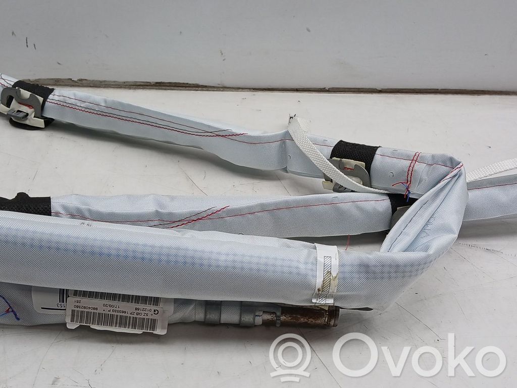 Airbag del techo   9804092380