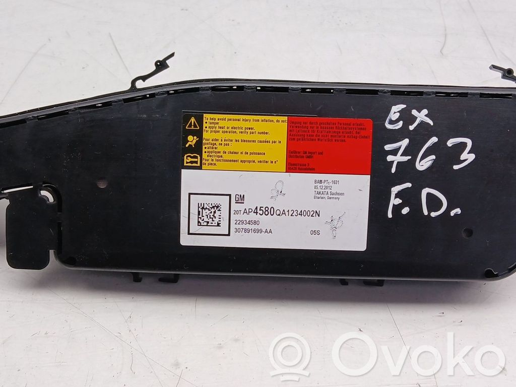 Airbag scaun   22934580