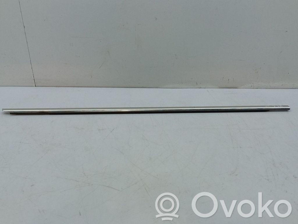 Volkswagen PASSAT B6 Rivestimento della portiera anteriore (modanatura) 