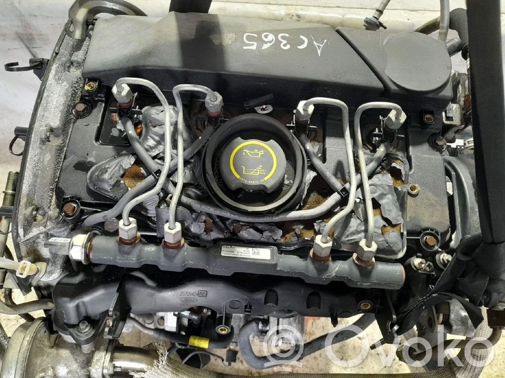 Jaguar X-Type Motor