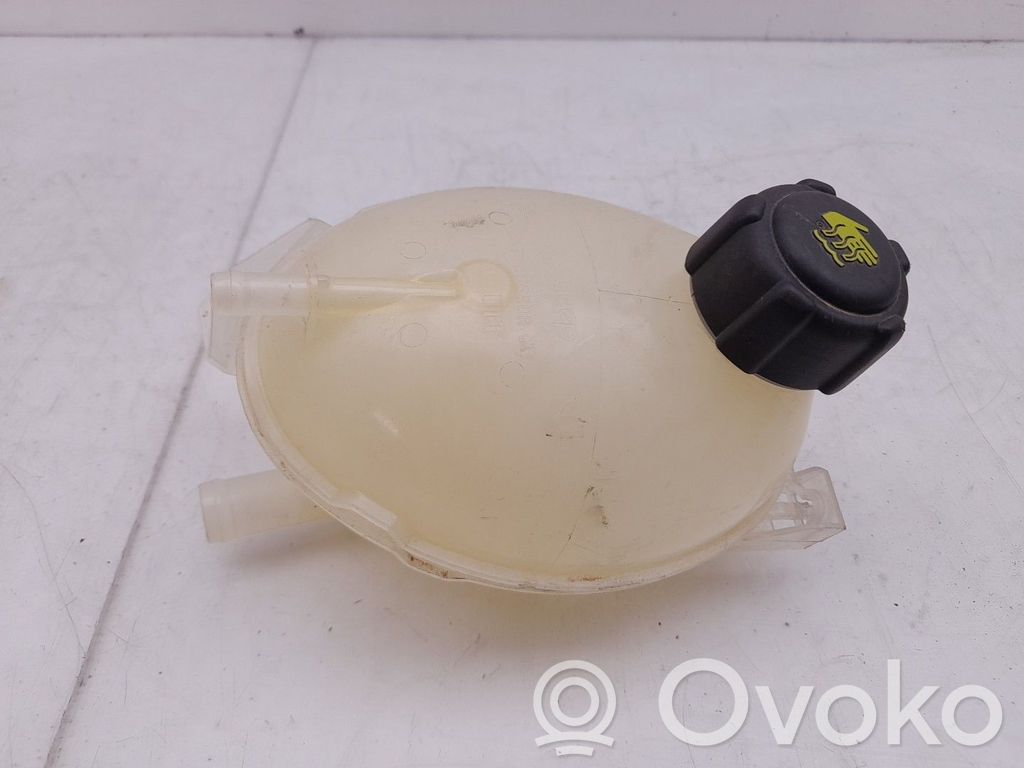 Depósito del refrigerante   217100680R