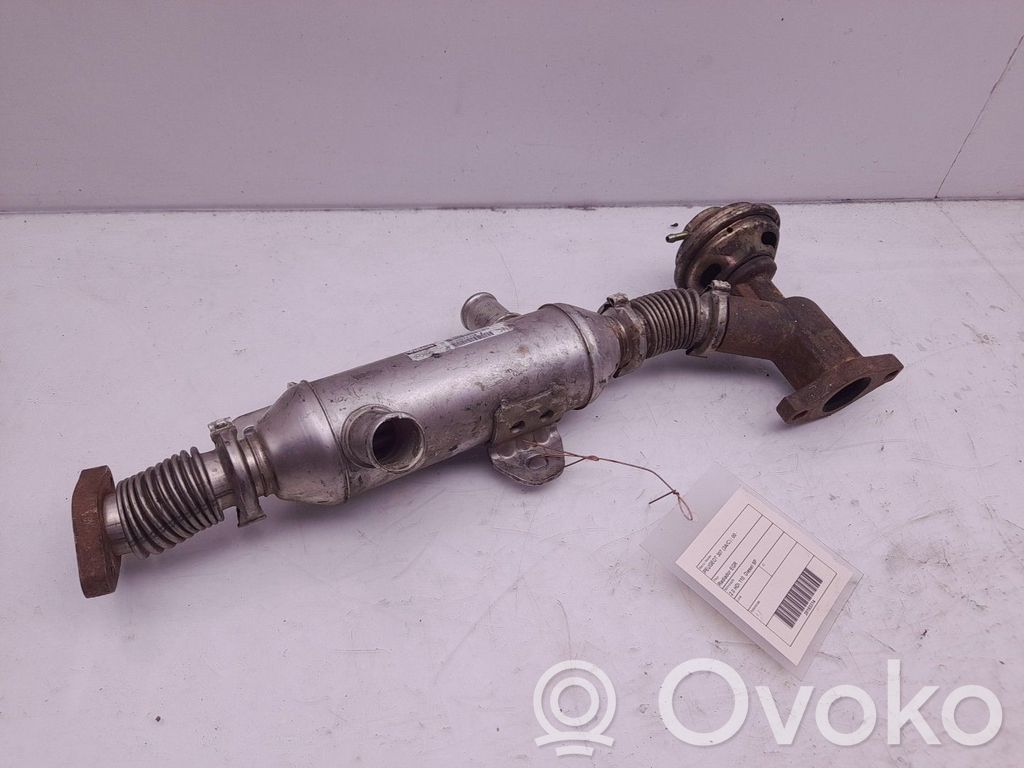Răcitor supapă EGR   9639874380