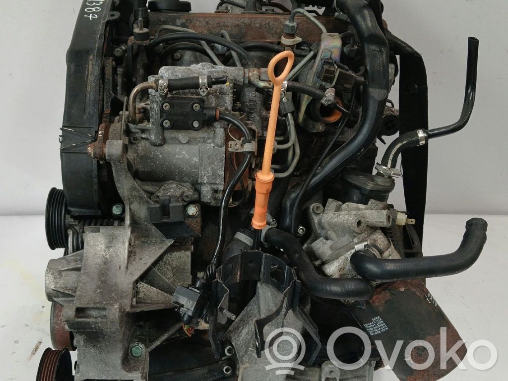 Motor