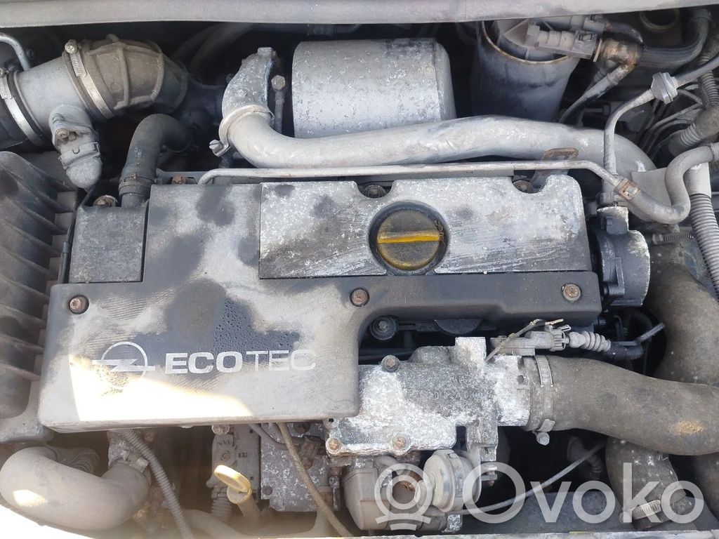 Motor
