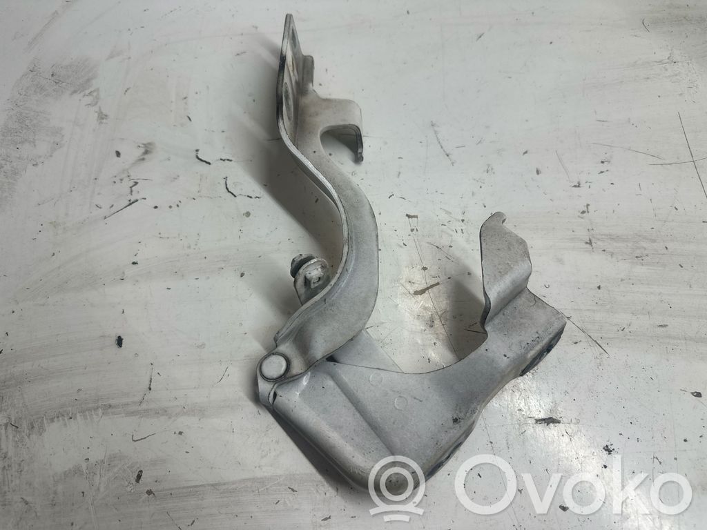 Engine bonnet/hood hinges
